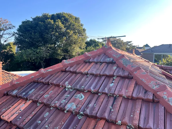 Terracotta tile roof and ridge capping